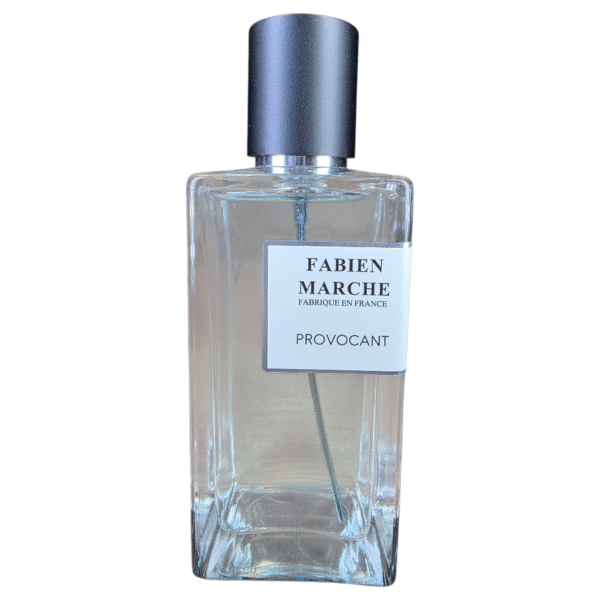 FABIEN MARCHE-PROVOCANT EAU DE PARFUM POURE HOMME-100ml-Fabriqué en France – Image 3