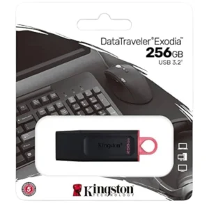 KINGSTON Clé USB 256GB