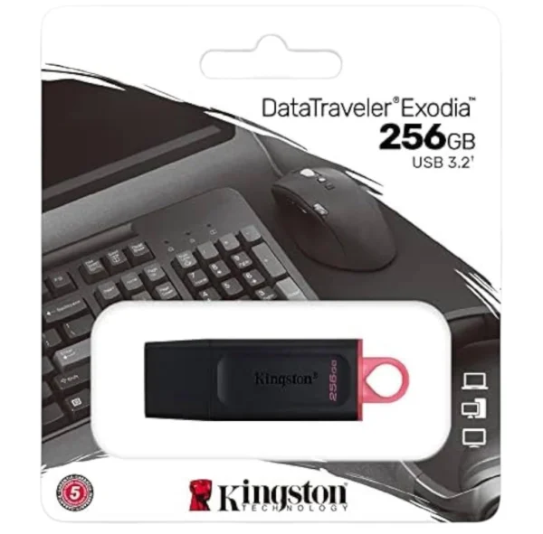 KINGSTON Clé USB 256GB